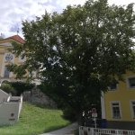 Unterkunft Marienberg
